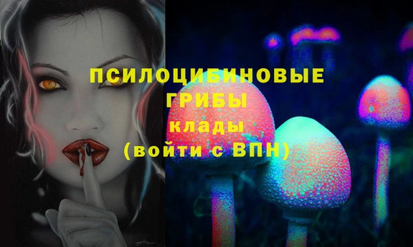 СК Балахна