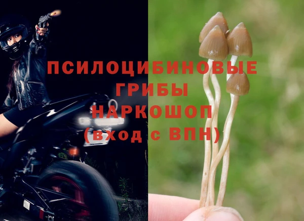 кокс Балабаново